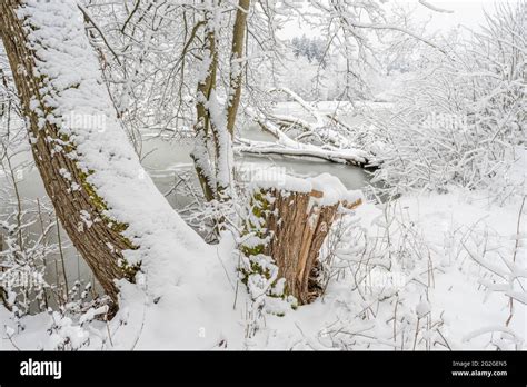 Snowy winter landscape in Bavaria Stock Photo - Alamy