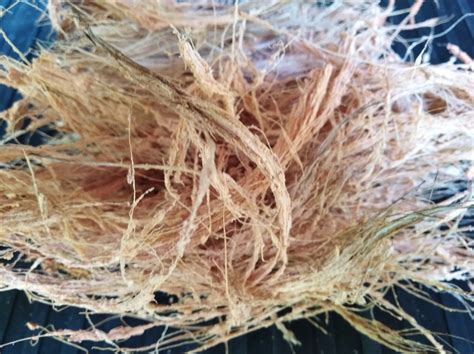 Coconut Husk Fiber Natura Organic Fertilizer Free Etsy