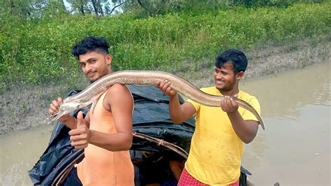 ঝড় বৃষ্টির দিনে বরশি দিয়ে গ্রেট সাইজের সোনাবগো মাছ পেলাম সুন্দরবন নদীতেzeropointsundarban