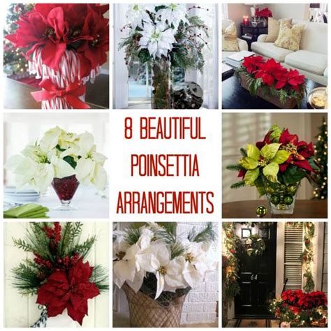 8 Beautiful Poinsettia Arrangements Home And Garden