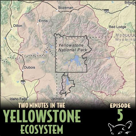 Episode 5: What is the Greater Yellowstone Ecosystem?