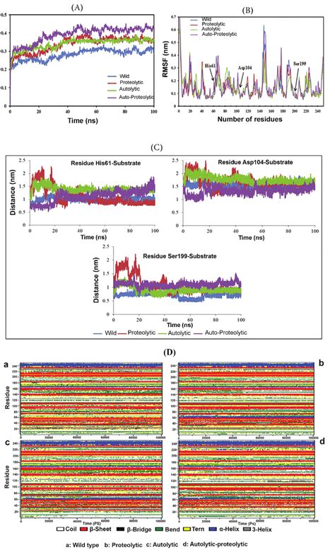 The Images Present Computational Simulation Analyses Comprising RMSD