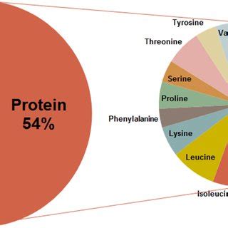 Biochemical Composition Of The Scenedesmus Sp Used In This Study