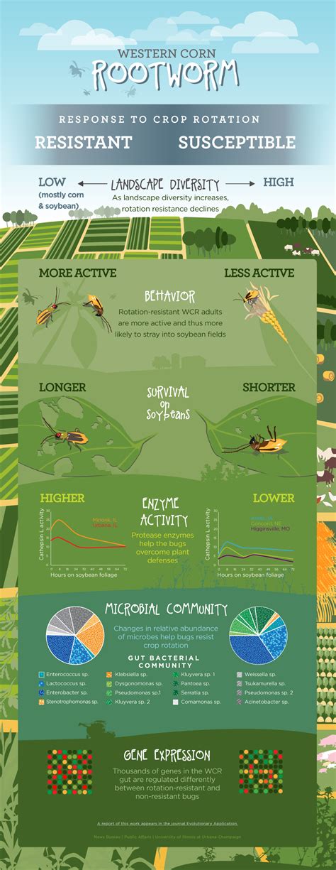 Infographic Illustrators Gallery