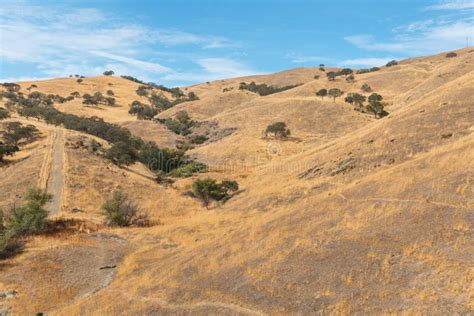 Pacheco Pass stock photo. Image of drought, pacheco, brown - 46855948