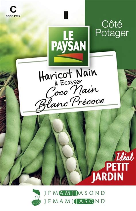 Haricot Nain A Ecosser Coco Nain Blanc Precoce Le Paysan Semences