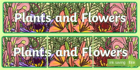 Plants And Flowers Display Banner Teacher Made