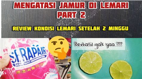 CARA MENGATASI JAMUR Part 2 MENGHILANGKAN JAMUR DI LEMARI YouTube