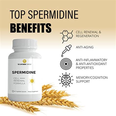 The 30 Best Spermidine Supplements Of 2024 Verified Cherry Picks