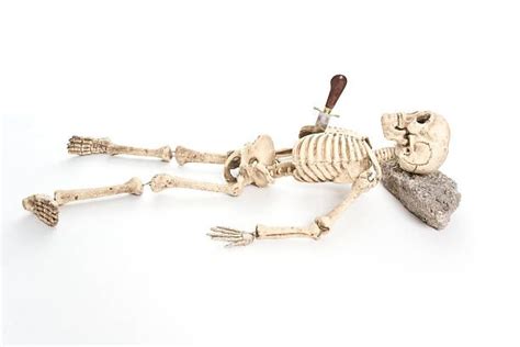 580 Skeleton Lying Down Stock Photos Pictures And Royalty Free Images