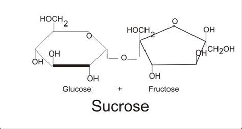 Lab 2e- Variation in the Structure and Properties of Carbohydrates ...