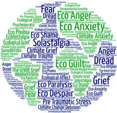 Reengaging Eco Activism Over Fueling Eco Anxiety Embark