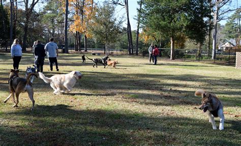 New off-leash dog park opens in Myrtle Beach | WBTW