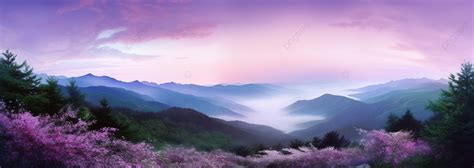 Scenery With Purple Flowers And Trees In The Distance Background, High ...