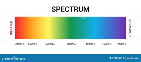 Visible Spectrum Color Wavelength Uv Gamma Vector Illustration Visible