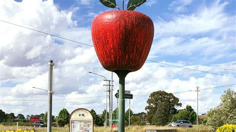 Vincenzos The Big Apple Granite Belt Wine Country