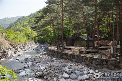 국립 미천골자연휴양림 관광 정보와 주변 관광 명소 및 근처 맛집 여행 정보