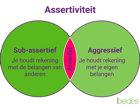 Assertief Gedrag Ontwikkelen Voorbeelden En Tips Beaks Nl