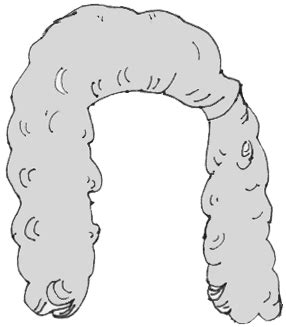 Judge Wig PNG & Transparent Judge Wig.PNG | HDPng