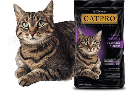 CATPRO Alimento Premium Para Gatos Adultos Castrados