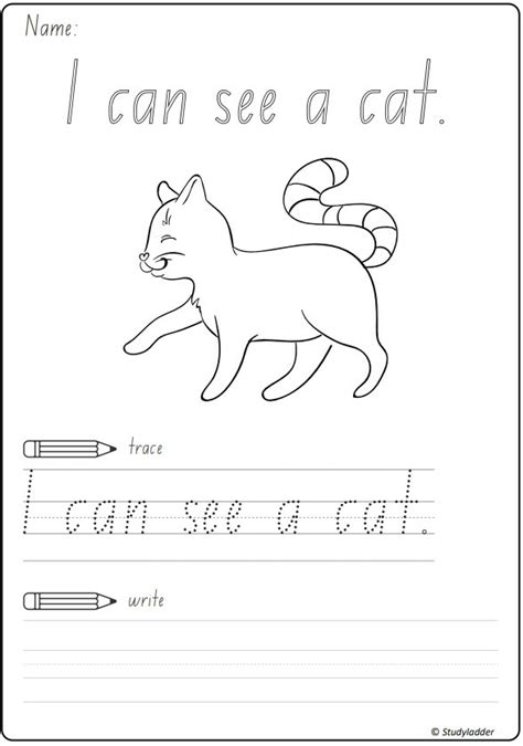 I Can See A Cat Studyladder Interactive Learning Games