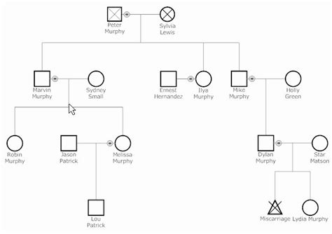 35 Editable Genogram Template | Hamiltonplastering