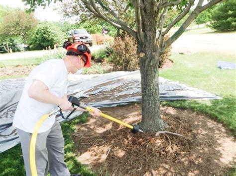 Air Spading To Promote Tree And Soil Health In Madison Wi