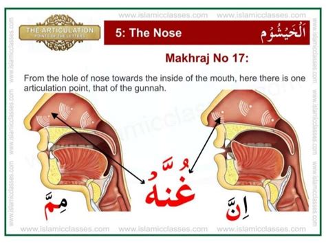 Articulation points-of-the-letters- makhraj