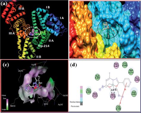 Molecular Docked Model Of A Complex 2 With Hsa B Representation Of