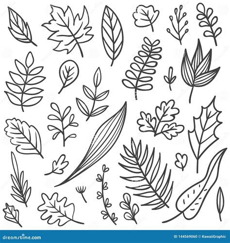 Set Of Leaves Doodle Stock Illustration Illustration Of Drawn 144569060