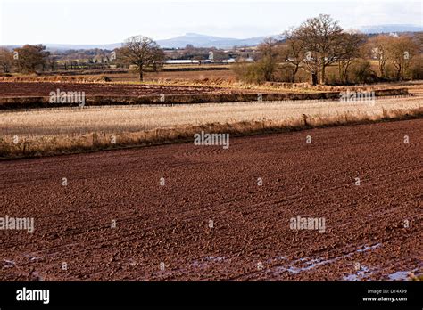 Mud Field Wet Stock Photos And Mud Field Wet Stock Images Alamy