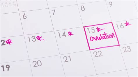 How Do I Know If Im Not Ovulating 5 Methods So You Know — Dr Angela