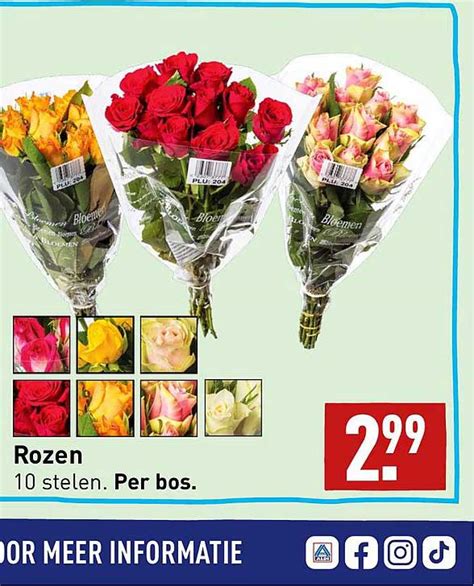 Rozen Aanbieding Bij ALDI 1Folders Nl