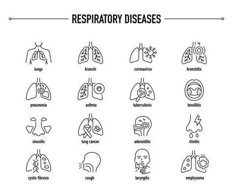 Cystic Fibrosis Lung Stock Vectors Istock