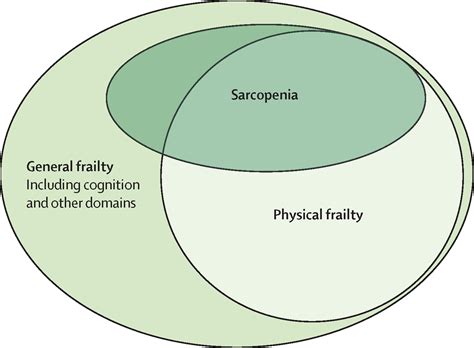 Sarcopenia The Lancet