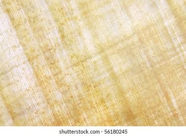 Natural Blank Papyrus Texture Traditional Egyptian Stock Photo Edit