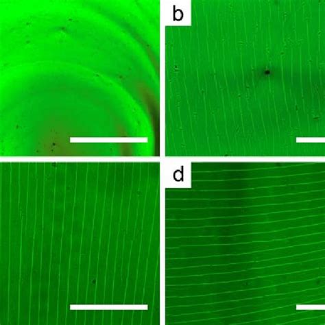 Fig S8 Optical Micrograph Of Drop Cast Polymer Nanocomposite Thin