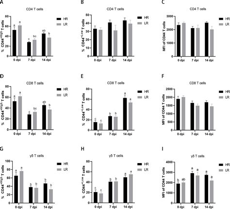 Characterization Of T Cell Subsets In Response To Foot And Mouth