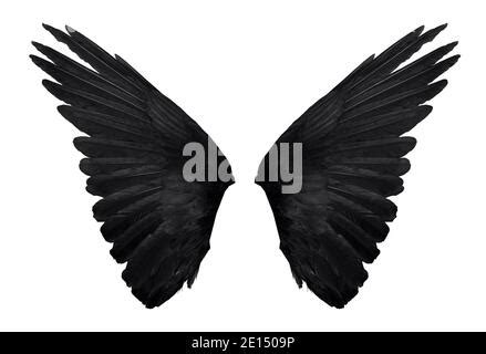 Black Demon Wings Isolated Stock Photo - Alamy