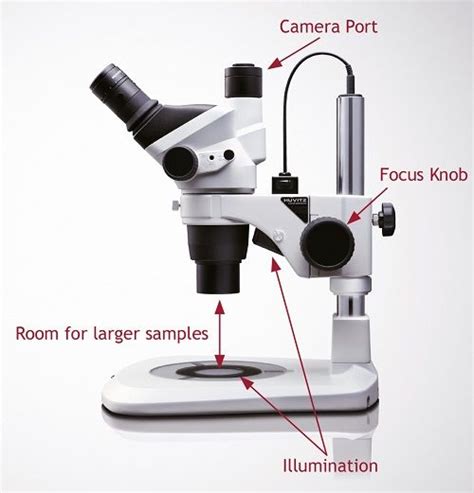 Stereoscopes T Stereoscopestereomicroscopesaspx Stereo