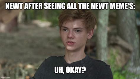 Newt S Reaction To Maze Runner Meme S Imgflip