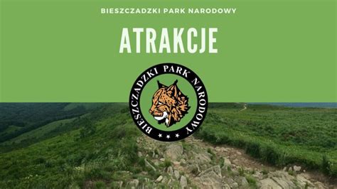 Bieszczadzki Park Narodowy Atrakcje Szlaki Zwierz Ta I Ro Liny