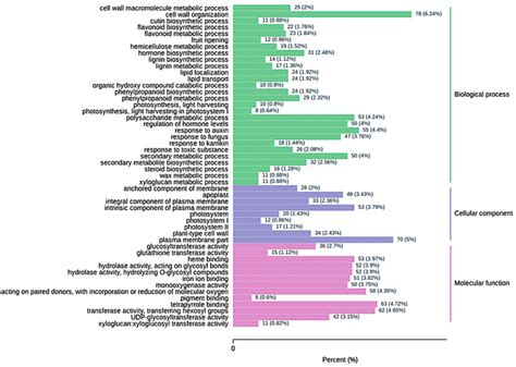 The Functional Classification Of Differentially Expressed Genes Degs Download Scientific