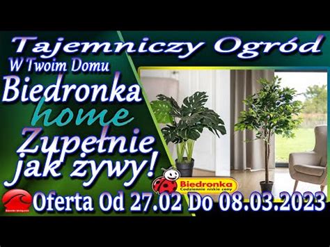 Biedronka Home Online Od 27 02 08 03 2023 Sztuczne Piękne Kwiaty