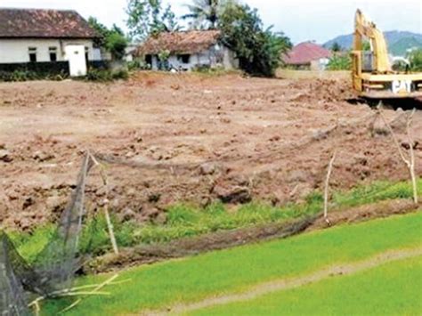 Beralih Fungsi Lahan Pertanian Mataram Terancam Menyusut Mediatani