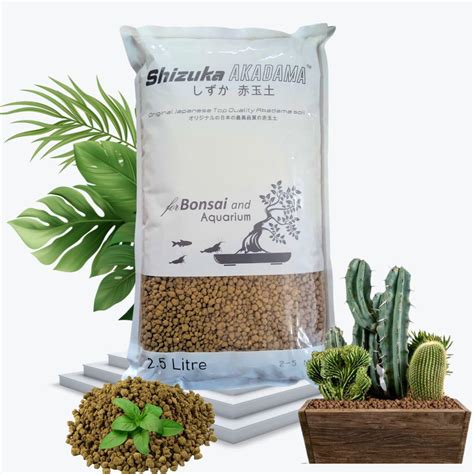 Buy VAYINATO Shizuka Akadama Japan Soil For Bonsai Succulant And