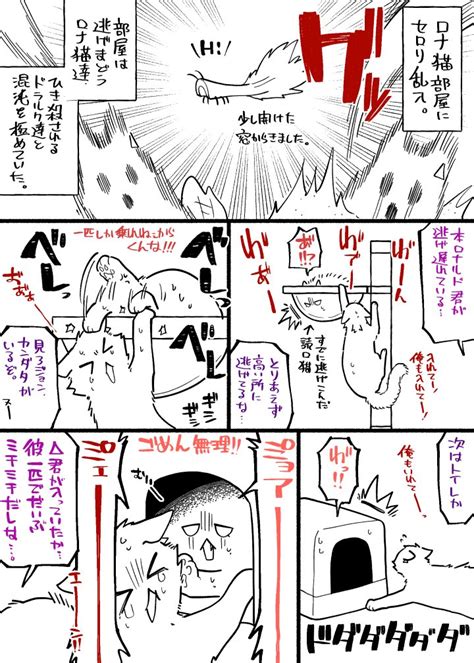 「読しぬやつ・ω・マッハで描いた」はむすたから＠ももんすたんぶの漫画