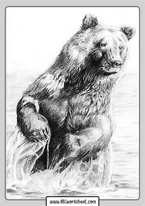 A Drawing Of A Bear Standing In The Water With Its Paws On His Chest