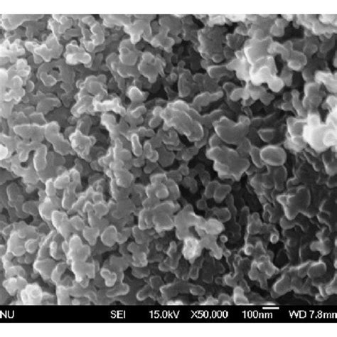 A And B Fe Sem Images Of Agnps Synthesized By Nocardiopsis Sp