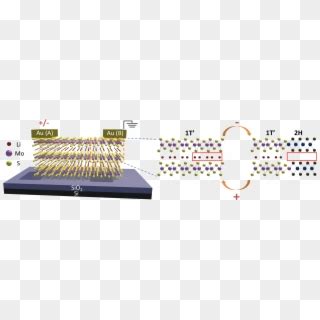 A Schematic Of The Molybdenum Disulfide Layers With Ionic Modulation